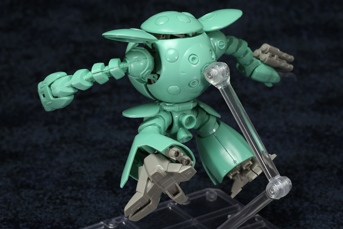 kapool-29