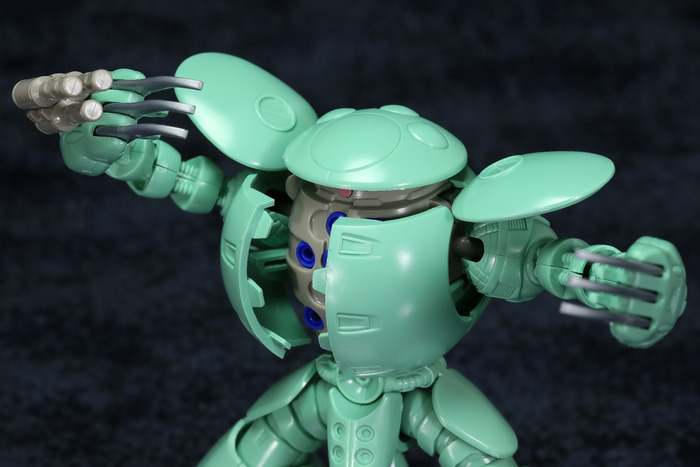 kapool-24