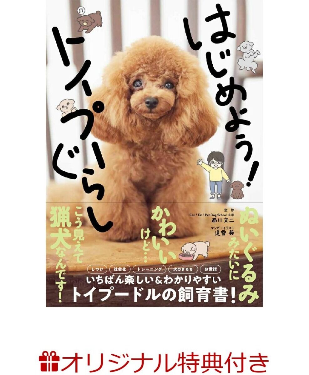 フィギュアスケートグッズ情報