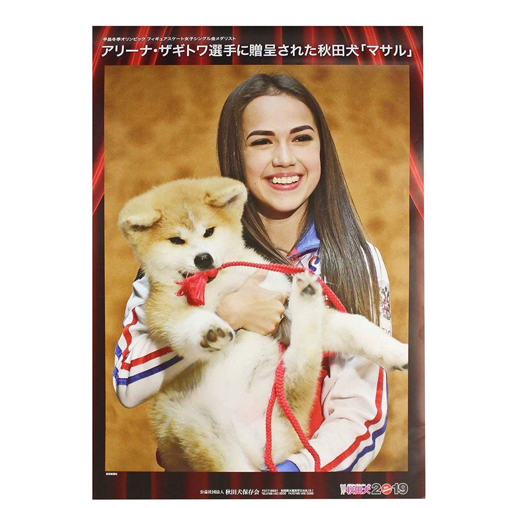 秋田犬カレンダー 19 19年1月始まり 公益社団法人秋田犬保存会 フィギュアスケートグッズ情報