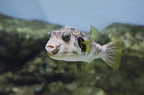 f526bcbc618cd60ecd3038daceec2827_s