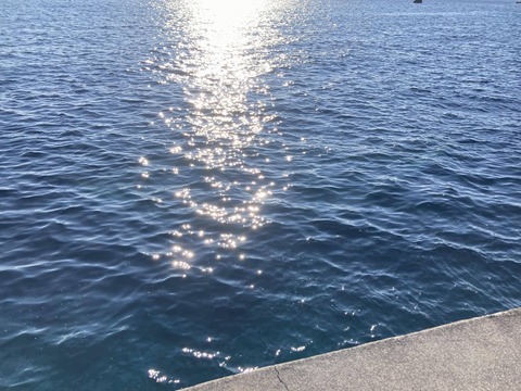 【画像】東北で海釣り～のんのんつりびより～