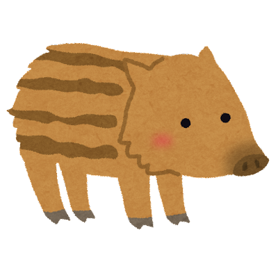 釣り人｢お！ヒラスや！｣ワイ(ヒラスズキの事か！)