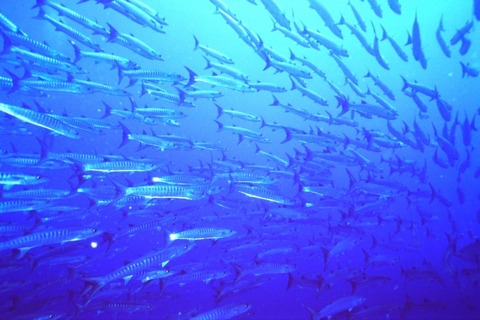 870c04601d443df4aaa1be2e997b456b_s