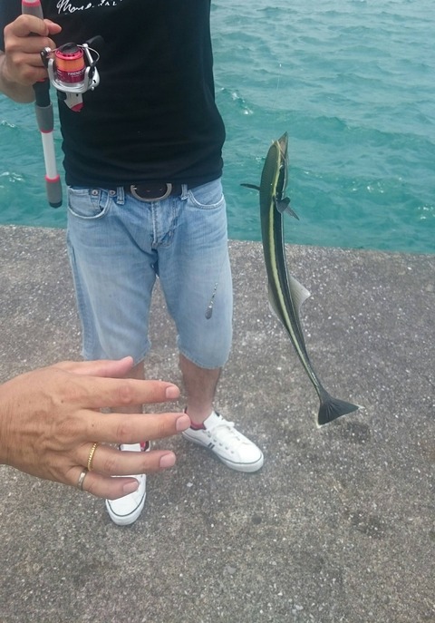 画像 コバンザメ釣ったったｗｗｗｗ 釣りまとめ速報