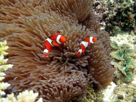 9362b49a70ad26e5d0d758903ce1a4f8_s