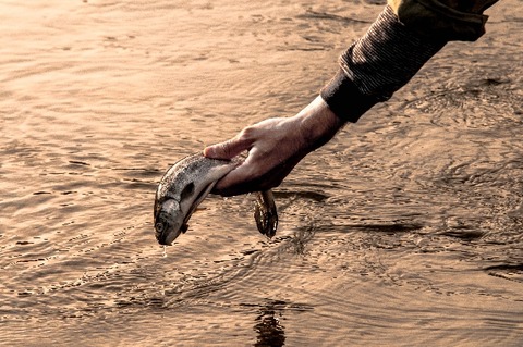 9b81e7e25a1243f06f94cfc4b3301b32_s