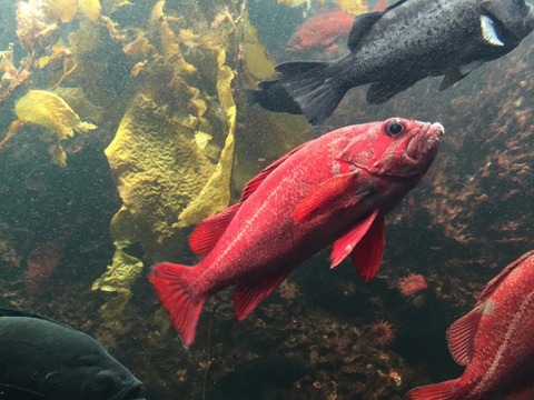 45f8abd724cd7886e821ab935a089322_s