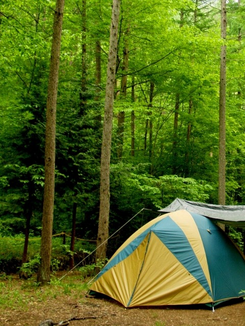 eb0a28ce503537b79fd70fb9aa768cfb_s