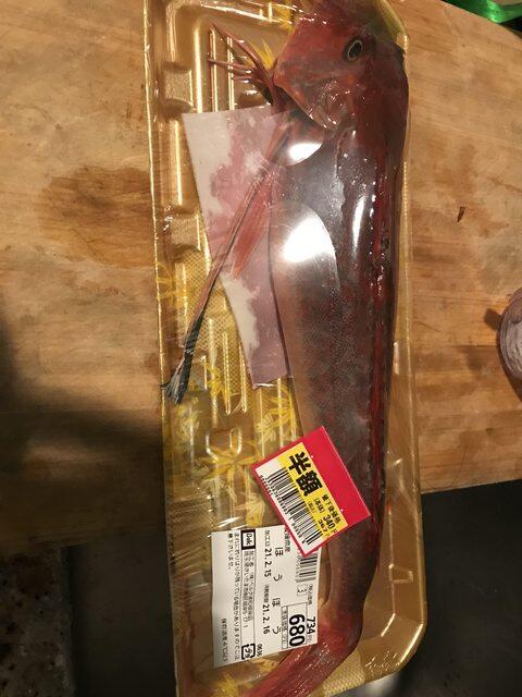 【画像】ホウボウって魚を釣ってきたから今から料理するンゴｗｗｗ