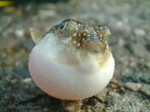 7fc29cbe773bef2dd20609b77f0e33c1_s