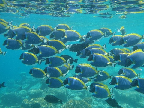 b4aec0eab75d272b11b7cf0c47ce054b_s