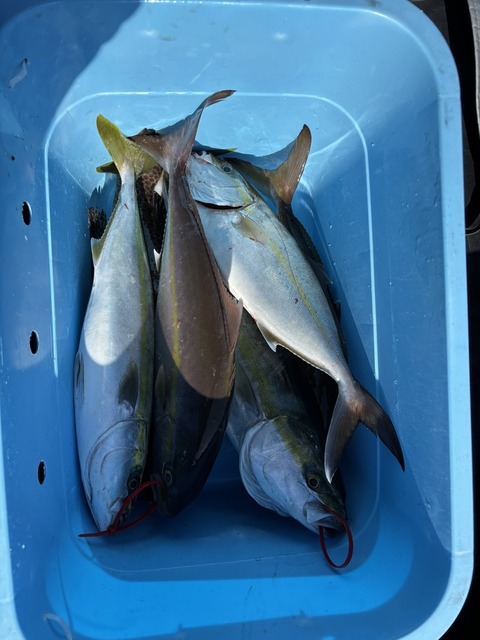 【画像】釣り行ってきた