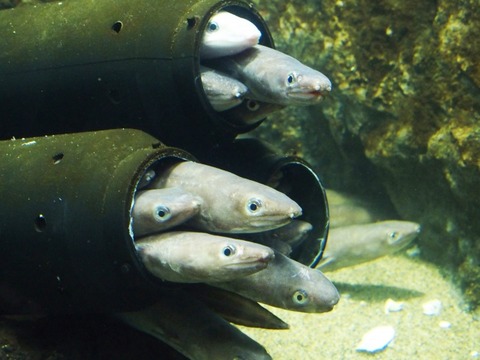 238720e8230af95b860361a63b15d632_s