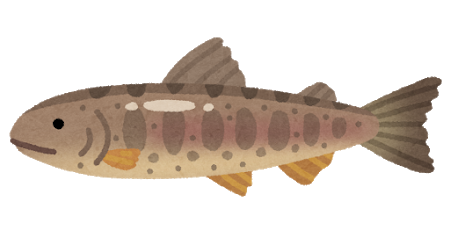 ヤマメ(渓流の女王)、イワナ(川魚の女王)、アユ(清流の女王)