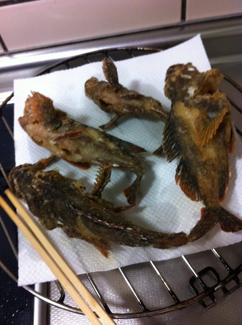 画像 カサゴの唐揚げできたやで 釣りまとめ速報