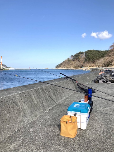 【画像】東北で海釣り～花よりアナゴ～