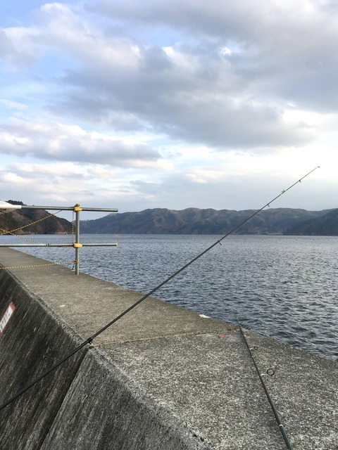 【画像】東北で海釣り～およげ！らぐびーくん～