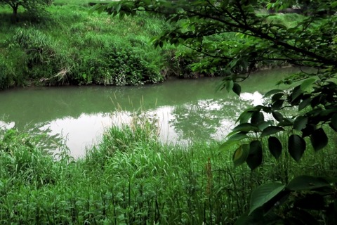 ab7e3a53b24a8a2ac06be8f056347f0c_s