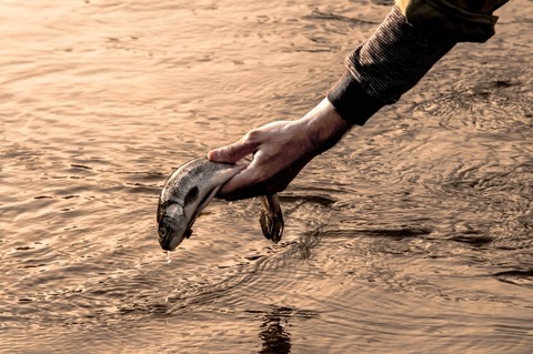 9b81e7e25a1243f06f94cfc4b3301b32_s