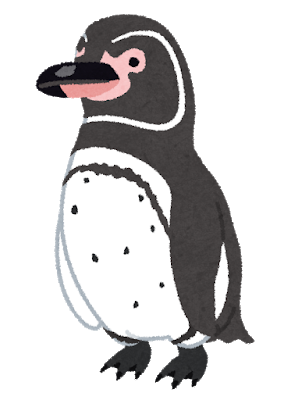 penguin18_galapagos