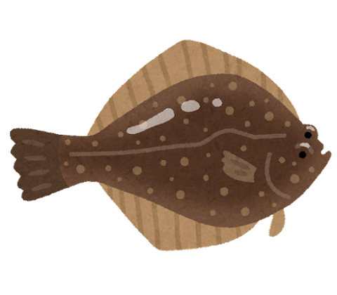 fish_sakana_karei