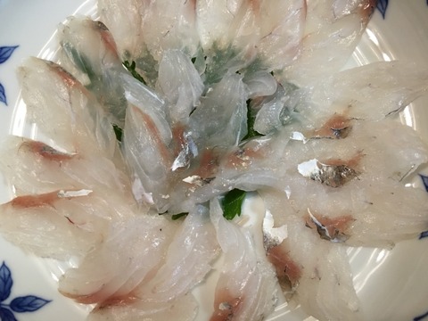 26fd0a6e79b123722aeb871df5b90eb2_s