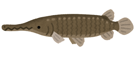 fish_alligator_gar