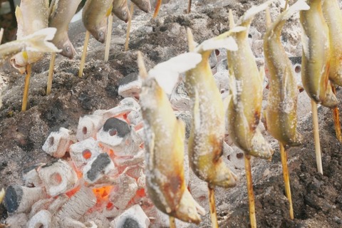 塩焼きで一番うまい魚決まるww 釣りまとめ速報
