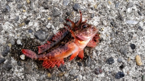 a16c7cf83dfb8e9d5be7a0a8458ec74c_s