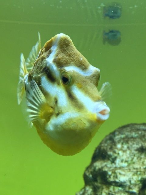 9b162925b1af15299d2162557ebde65f_s