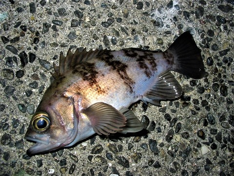 b823a0bea5c2d08614e8e540ea7e399b_s