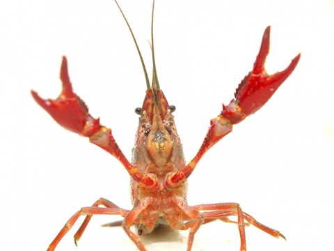 622e3e64ca0a6e34b9894b109a2d09ba_s