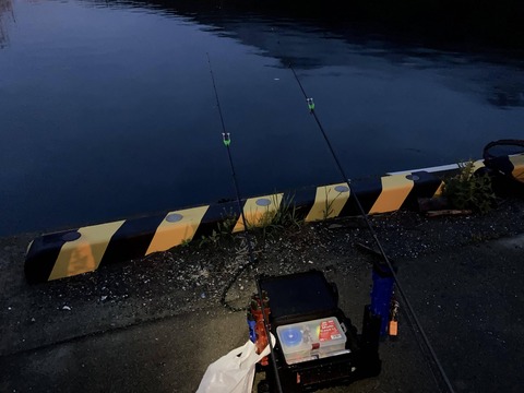 【画像】東北で海釣り～曇天の夜釣り～