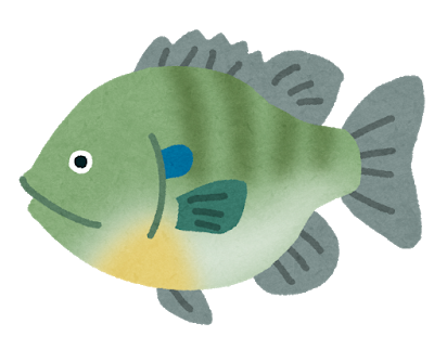 fish_bluegill2