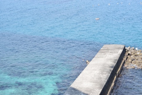 3e15ad61ad6cdcc98b90e1bf4d36975a_s