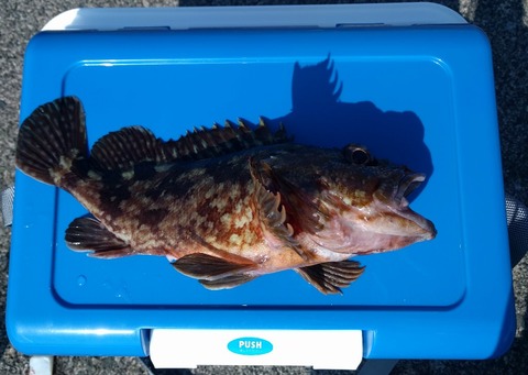 画像 今日穴釣りしたんだけどさ 釣りまとめ速報 画像 今日穴釣りしたんだけどさ 釣りまとめ速報