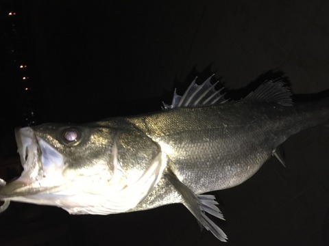 6b2b218eb8c8ddb359be789b69e3010d_s