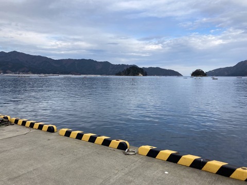 【画像】東北で海釣り～お前をイカそうめんにしてやろうか～