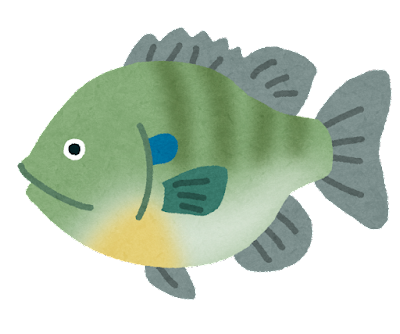 fish_bluegill2