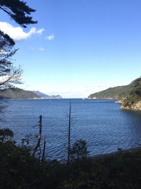 【画像】東北で海釣り～イカがせめてきたぞっ～