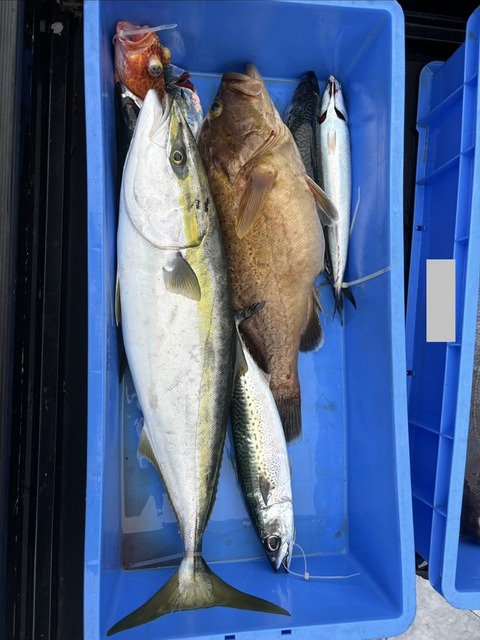 【画像】船釣り行ってきた！！！！