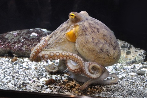 9c3e81fcd35c3cc3ee78c78dac6c9c6b_s