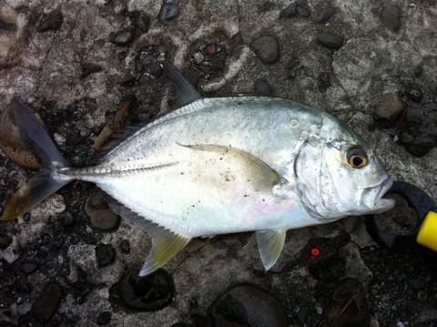 7e14e2a34c618637b3eacb2950385315_s