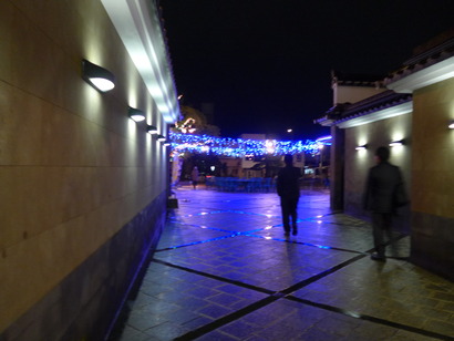 P1000184
