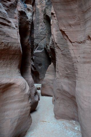 1-DSC_2812