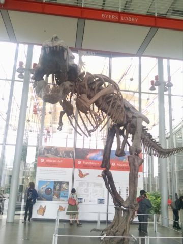 IMG_20170814_154804814