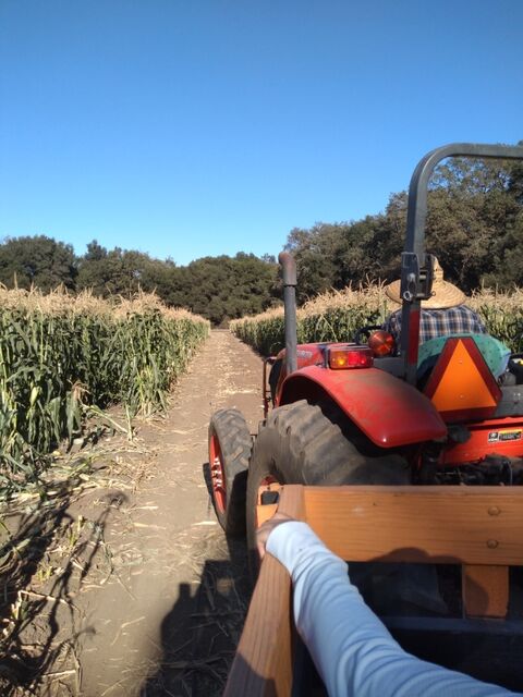 IMG_20201018_155506590