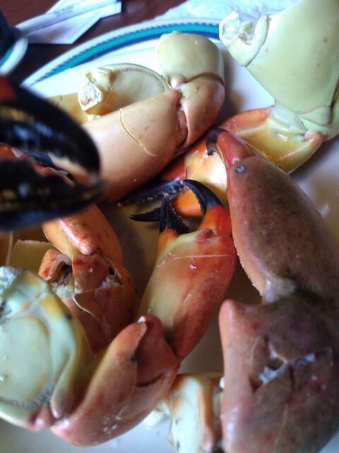 IMG_20191019_115116737