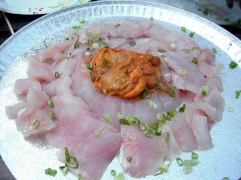 DSCF1261
